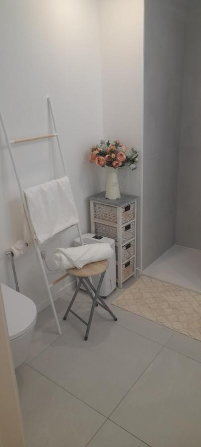 Light Brown Central Apartment Aveiro Exterior photo